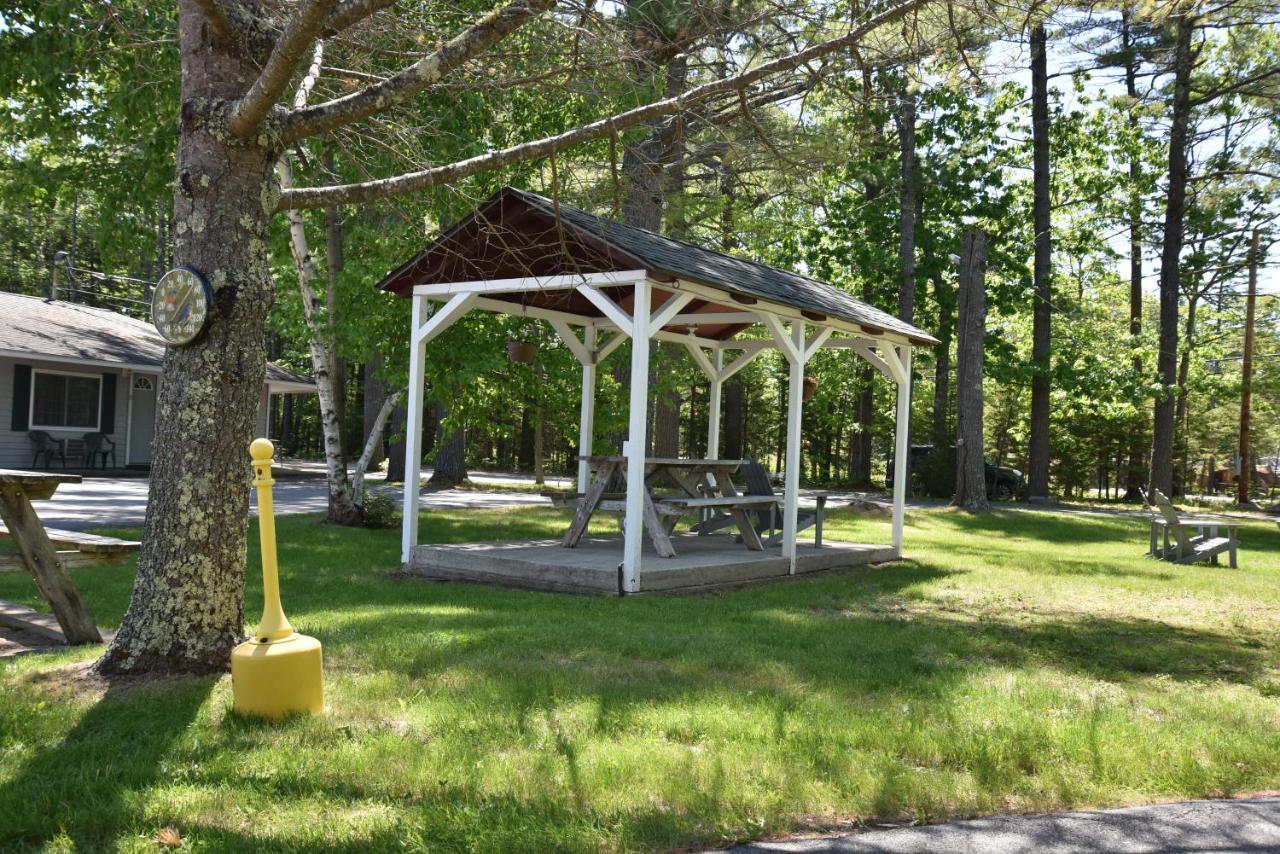 Acadia Pines Motel Bar Harbor Exteriör bild
