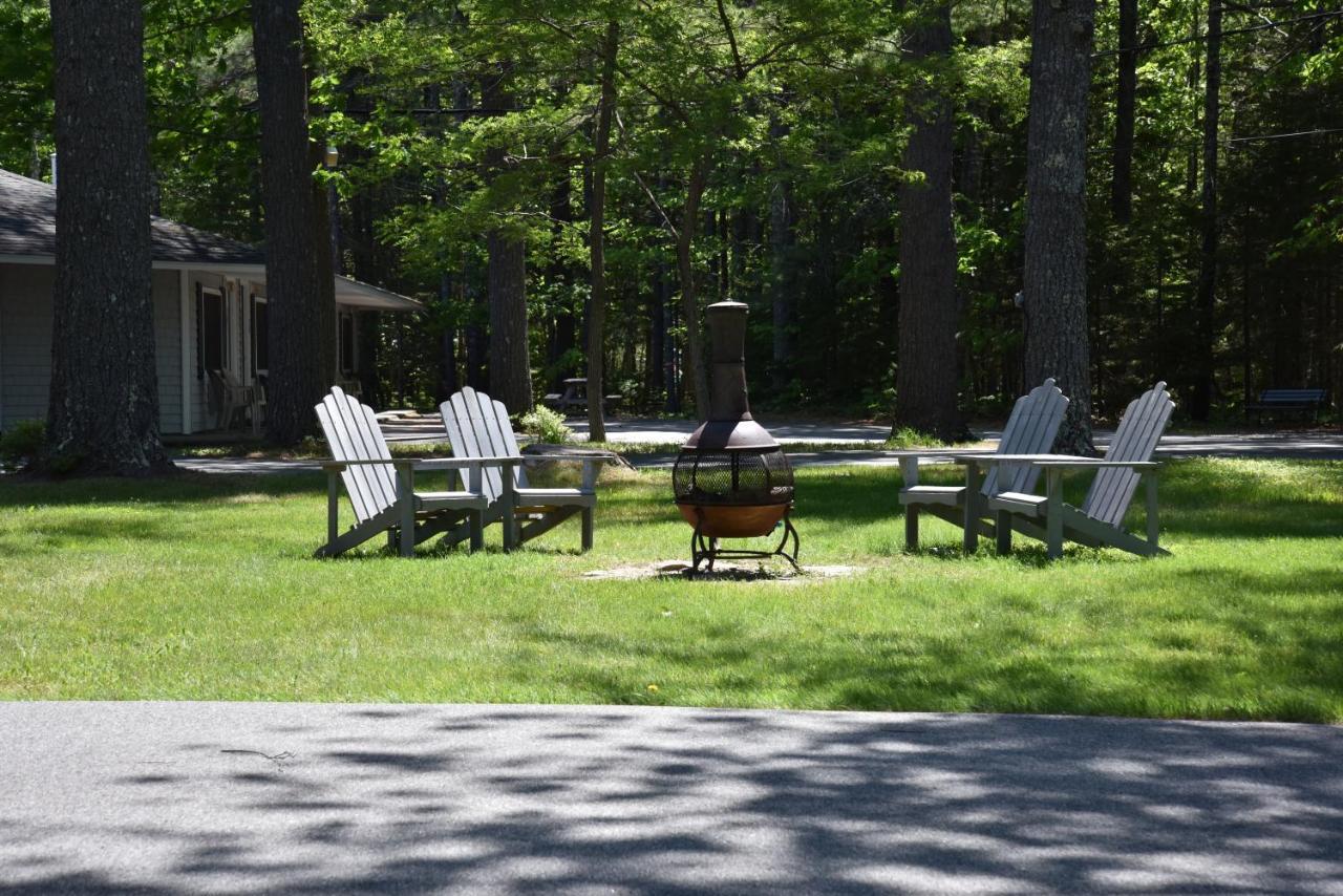 Acadia Pines Motel Bar Harbor Exteriör bild